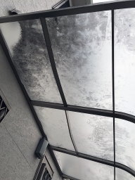���������˿ͤ���ʤ����������ɤ��ä��Ǥ���