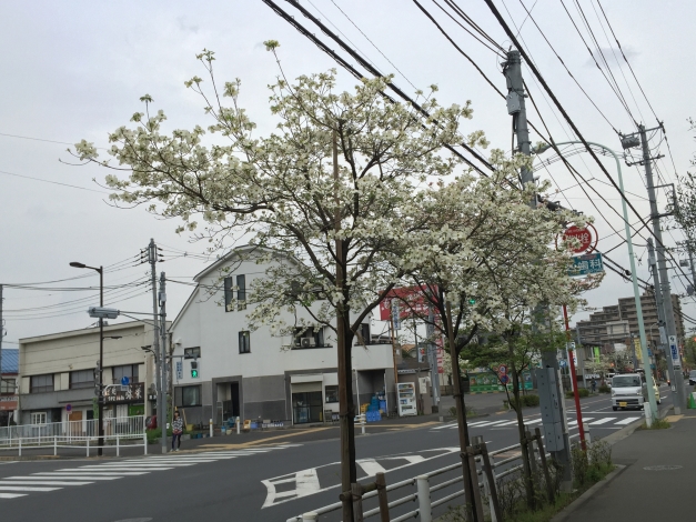 Ź�����˿������Ƥ���ϥʥߥ��������ʲ֤�餫���Ƥ���ޤ���