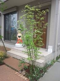�Ф���Ф餺��������ʷ�ϵ��Ƕ��֤��Ϥ����߰פ����ڤǤ���