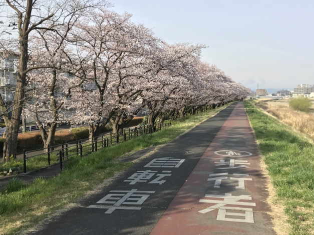 ��ī������褤�ι�Ȩ��������ֶ��δ֤ˤ���ɸ��ϸ����ϡ����κ����ڤǤ���