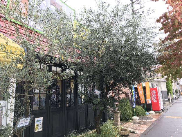��Ź�β��Ť˿������Ƥ��륪�꡼�֤Ǥ��������ƽ���ǯ�Ф����ȤƤ�Ω�ɤ˰�äƤ��ޤ���