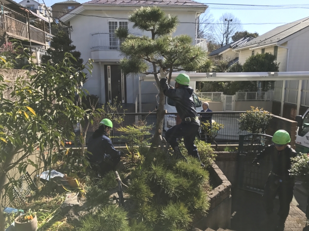 ��®��ȳ��ϤǤ����ޤ�ű��뿢�Ϥ��Ф��ƻޤ�ɤ�ɤ����Ȥ���ȴ���פ����֤ˤ��ޤ���