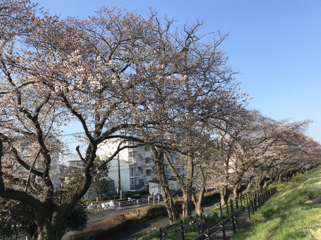 �᤯���鸫�����������٣�����ʬ�餭�Ǥ��礦���͡�