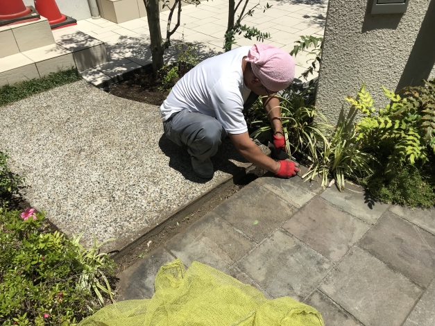 �����Υ��ץ������Ǥϡ������Ϥ˿������Ƥ������ޥ�奦��ű���������Ǥ��ڤ�Ѥ��Ƥ���ޤ���