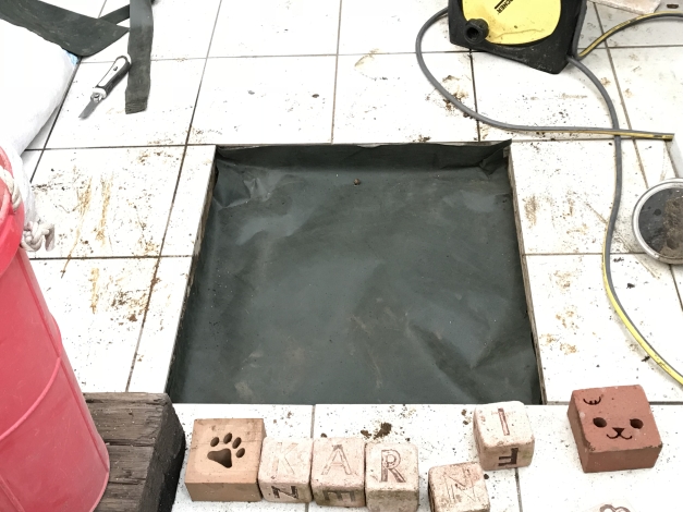 ����������������ᤷ���塢�ڤ�Ѥ������𥷡��Ȥ��ߤ�ľ���ޤ�����