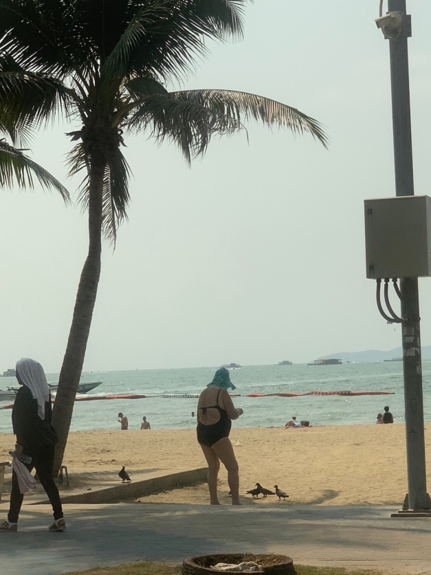 �ٲˤ�ĺ���ƾ�Ƥι񡢥����عԤäƻ���ޤ�����