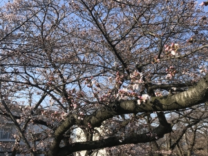 �ޤ���ʬ�餭�ʤ�����ʬ�餭�ȱ��ä������Ǥ��礦���͡�