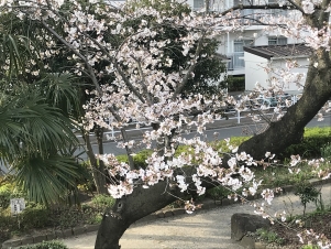 ����������ʬ�餤�Ƥ��ޤ���5ʬ�餭���餤�ȱ��ä������Ǥ��礦����