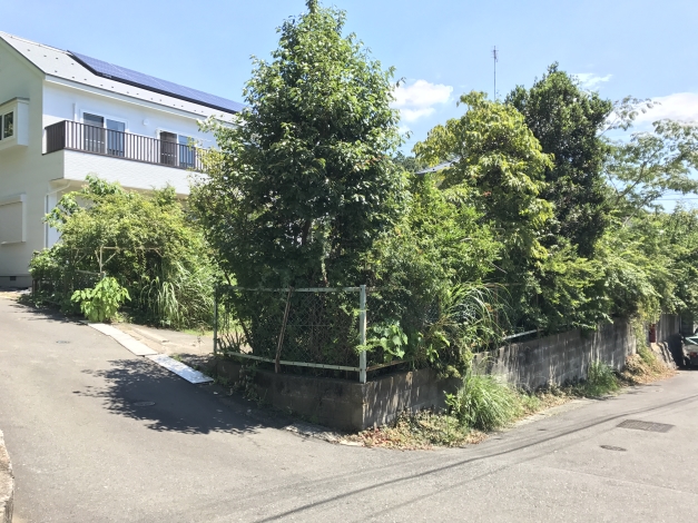 ���ϲ��ˤϹ��ˤ����ͤ����Ϥ�����ΤǤ����������������ä����Ȱ�������ƤȤƤ�꤬�դ����ʤ����֤ˤʤäƤ��ޤä������Ǥ�����
