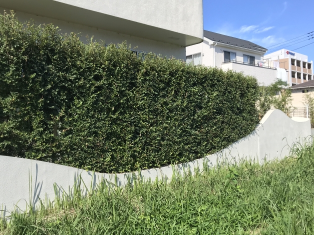 ��¸��¤���ɤȾ�꤯�Ҥ��ä���ĥ�ս��¤���ɡ��������ʥ饤��������Ƥ���ޤ���