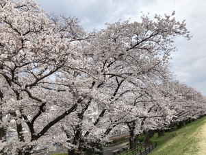 �����ʤޤǤ������κ����餭�ؤäƤ���ޤ���