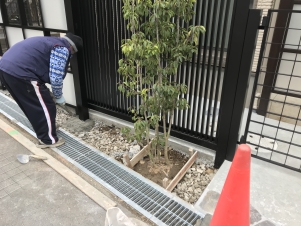 ��¦�Υ��襴�����Ʊ�ͤ˷��Ȥ�ܤ���������Ԥ��ޤ���